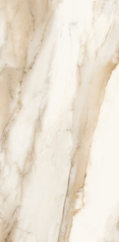 Vivace 12X24 Natural