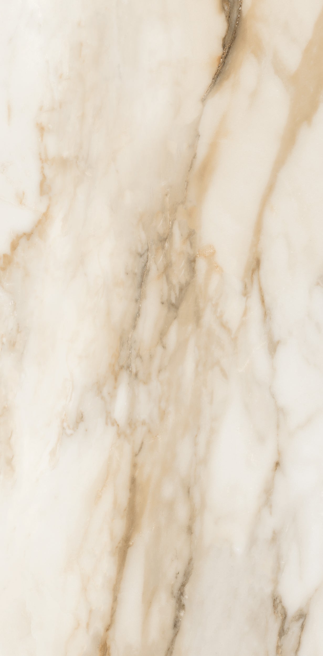 Vivace 12X24 Natural