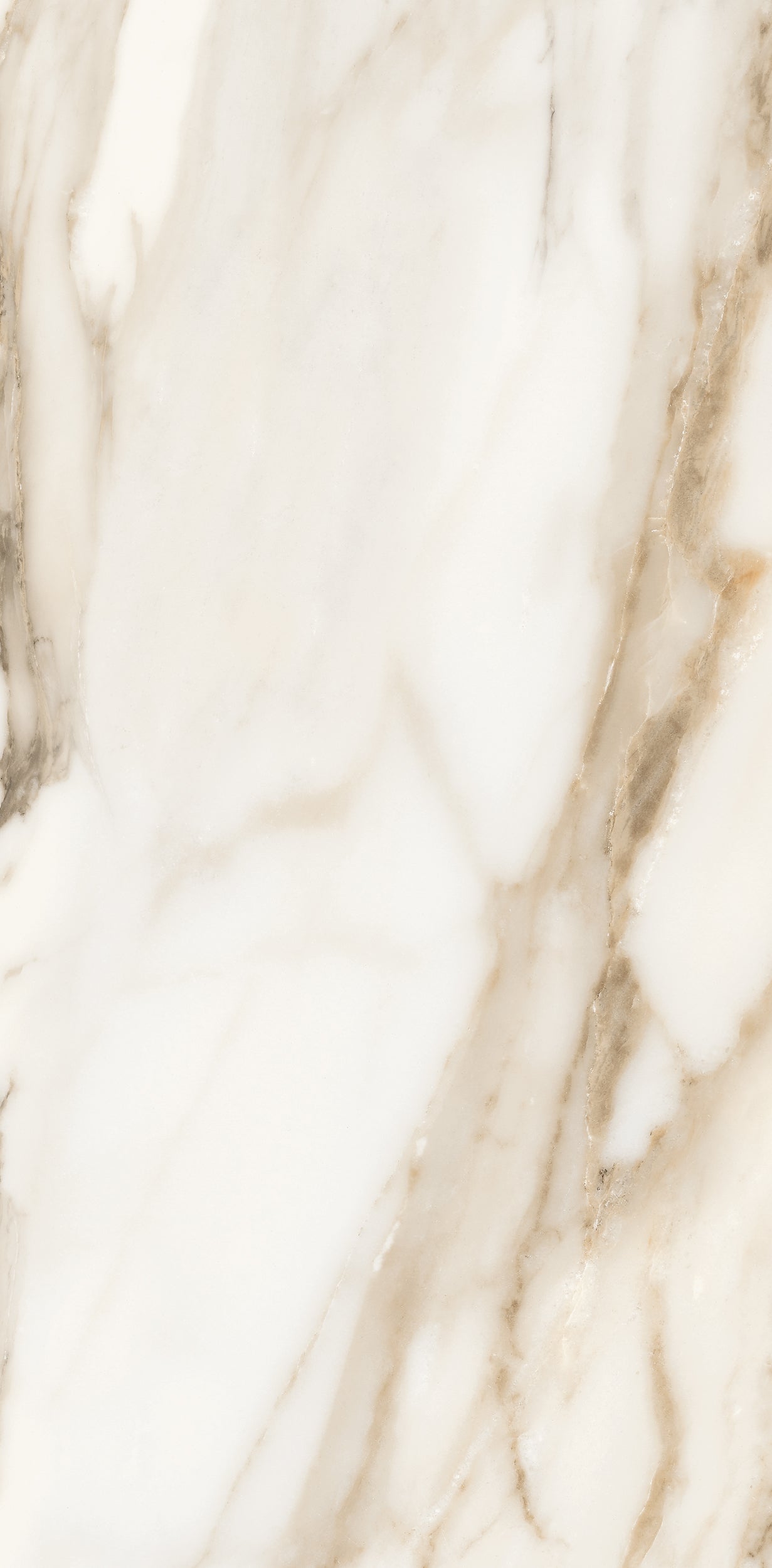 Vivace 12X24 Natural