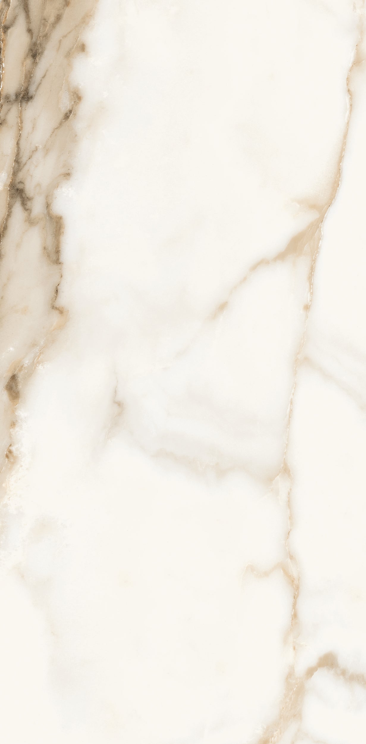 Vivace 12X24 Natural