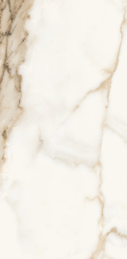 Vivace 12X24 Natural