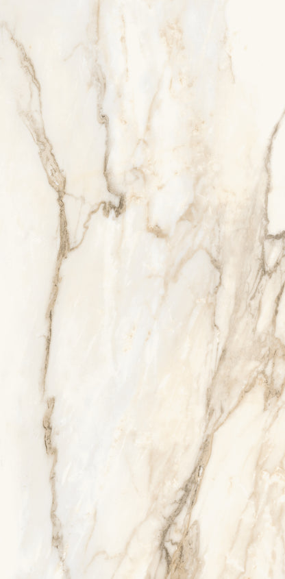 Vivace 12X24 Natural