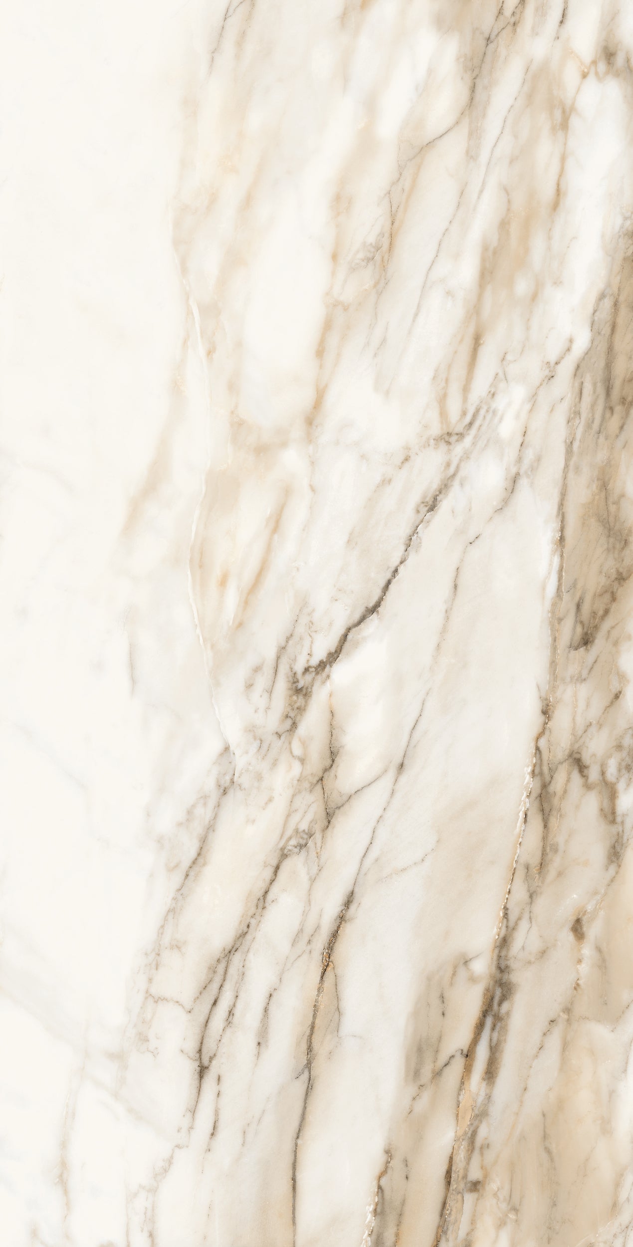Vivace 24X48 Natural