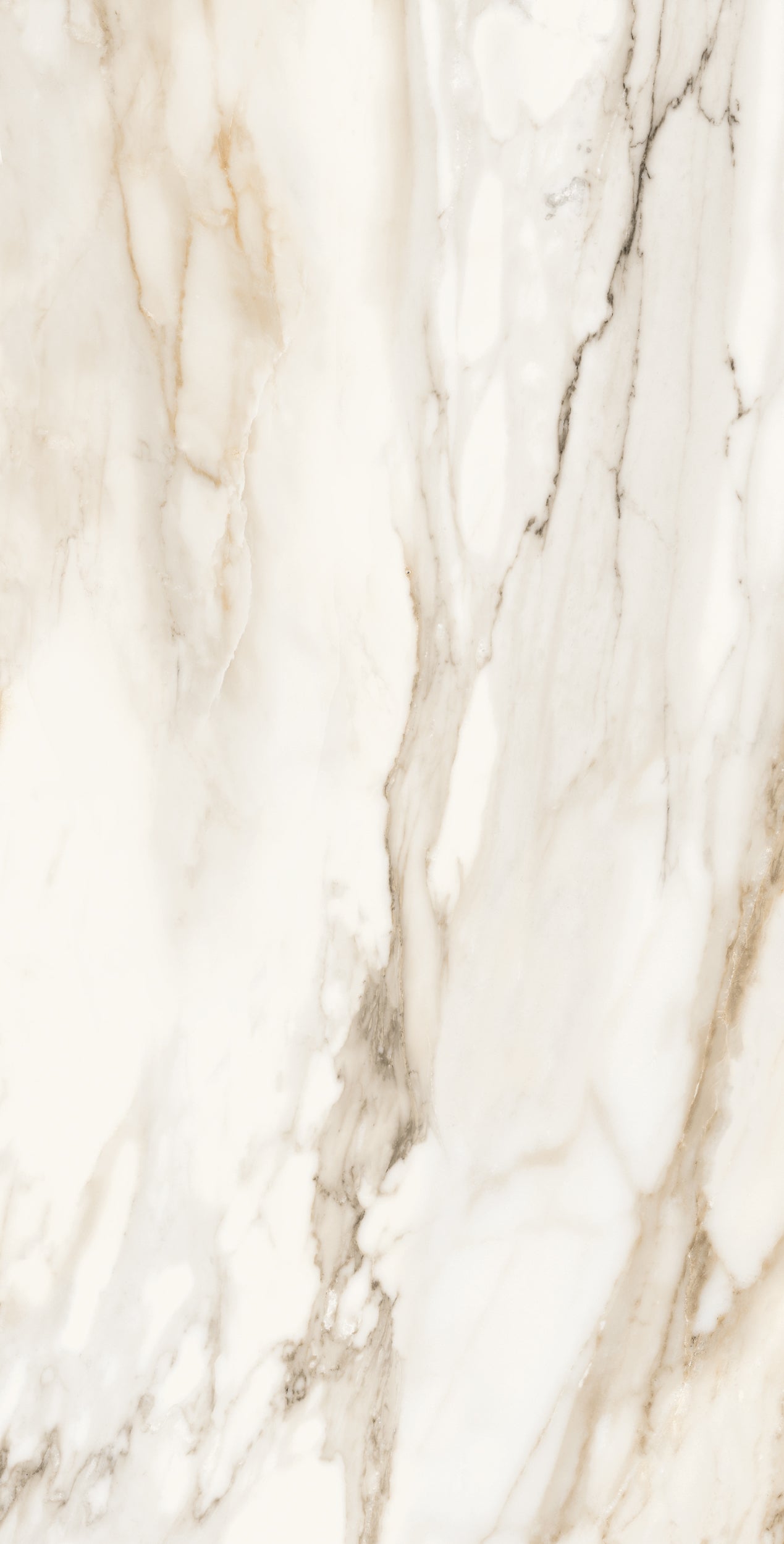 Vivace 24X48 Natural