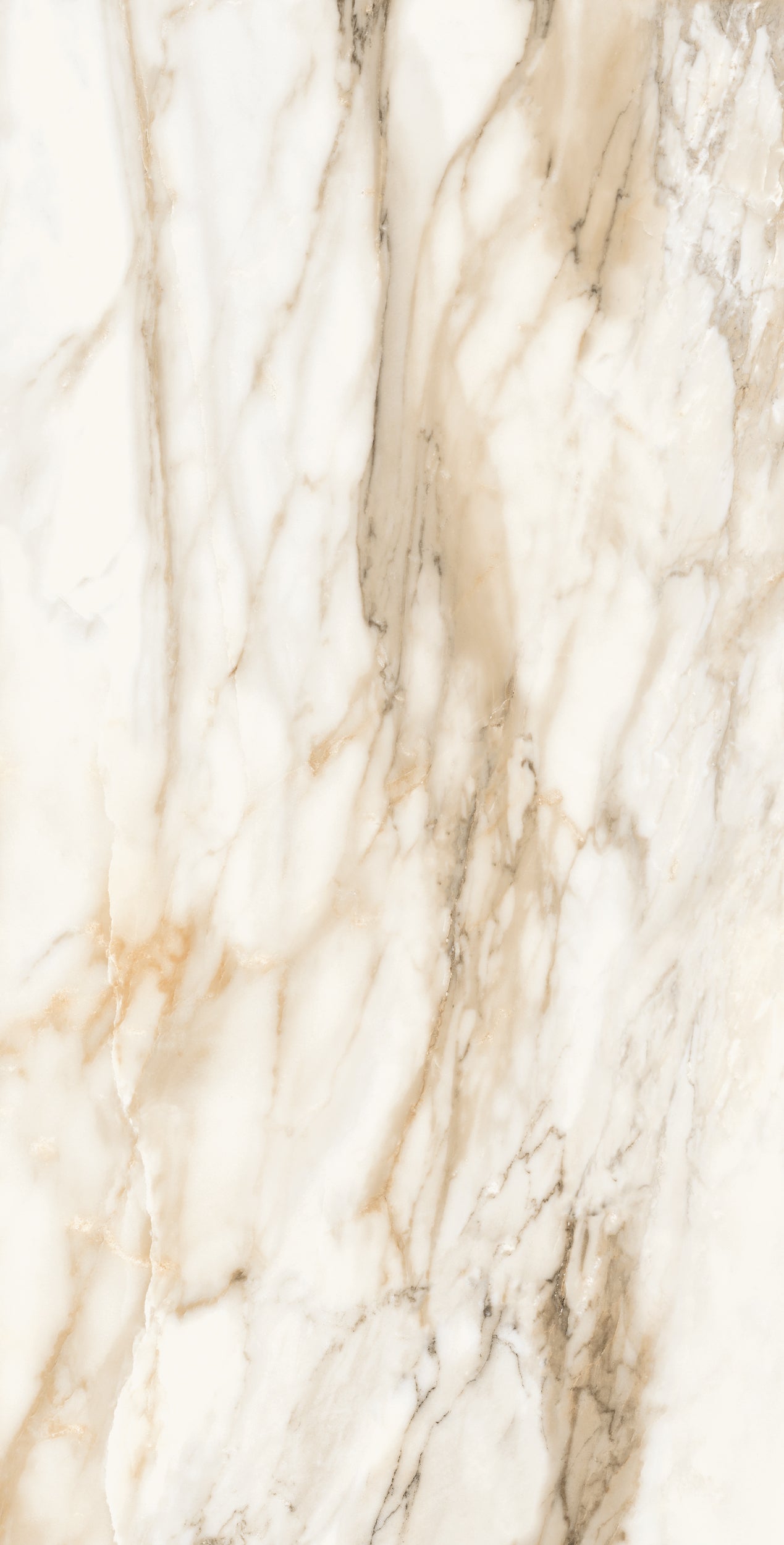 Vivace 24X48 Natural