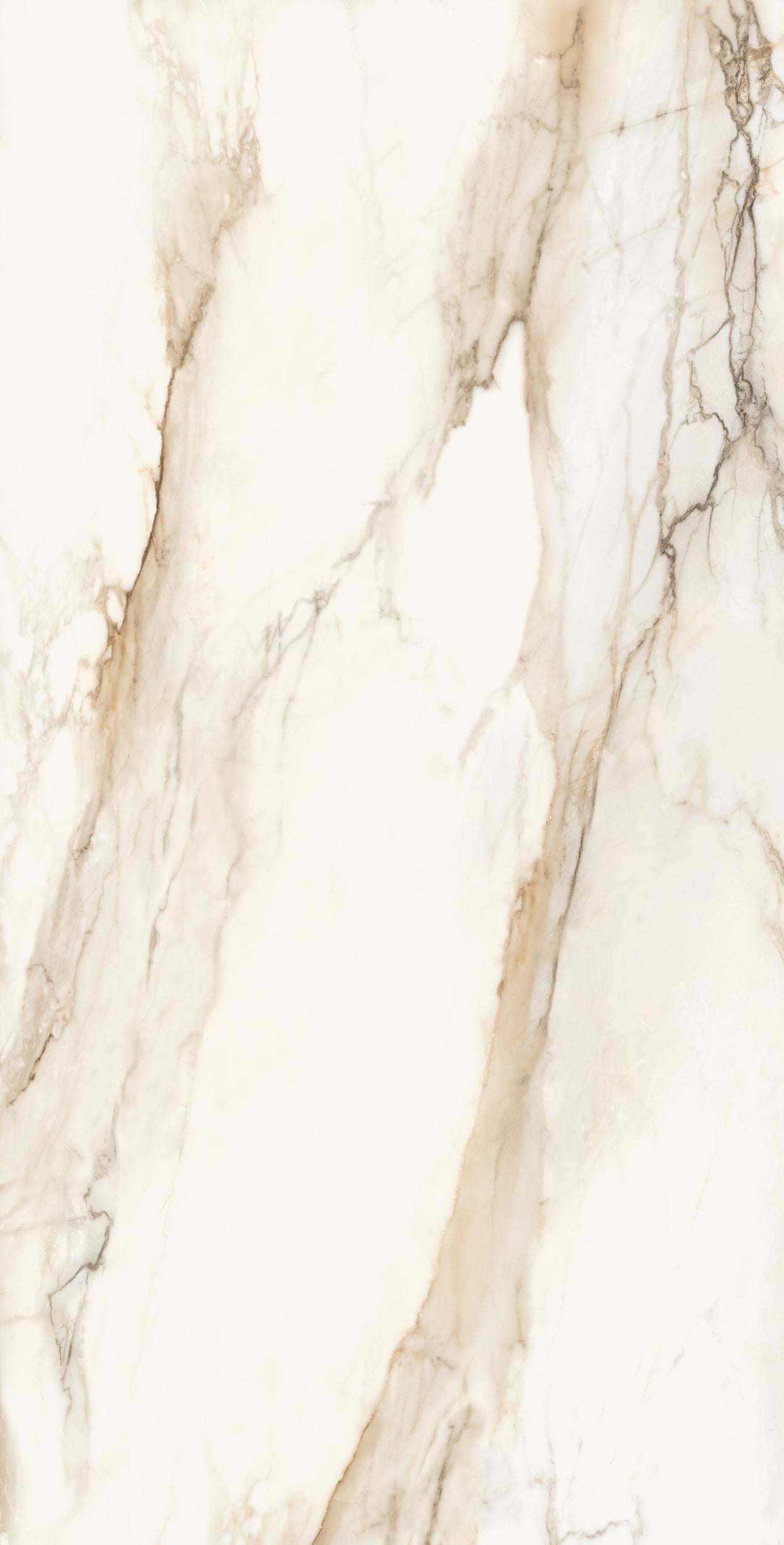 Vivace 24X48 Natural
