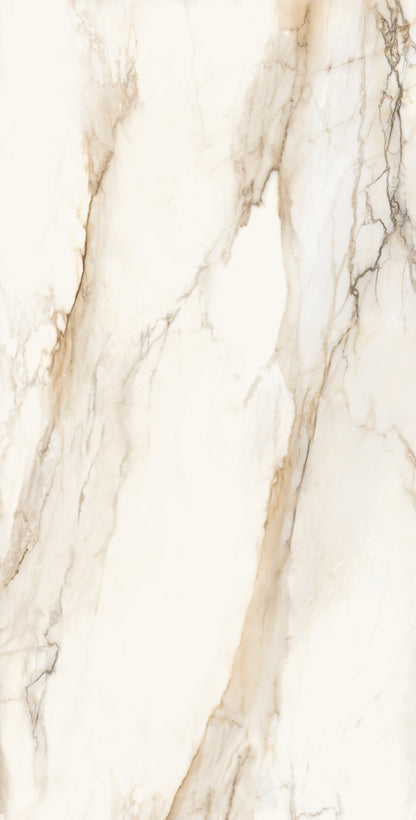 Vivace 24X48 Natural