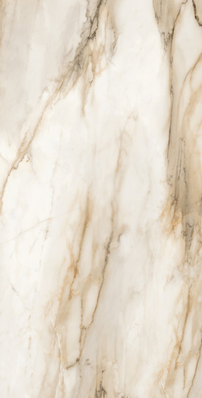 Vivace 24X48 Natural