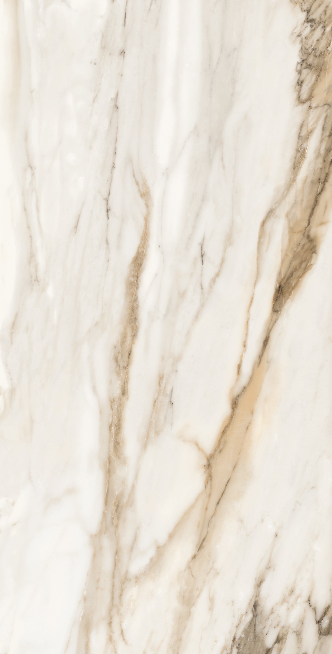Vivace 24X48 Natural