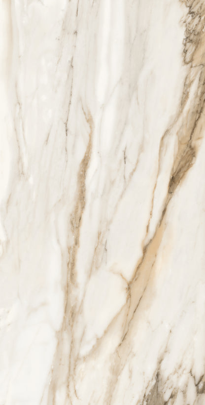 Vivace 24X48 Natural