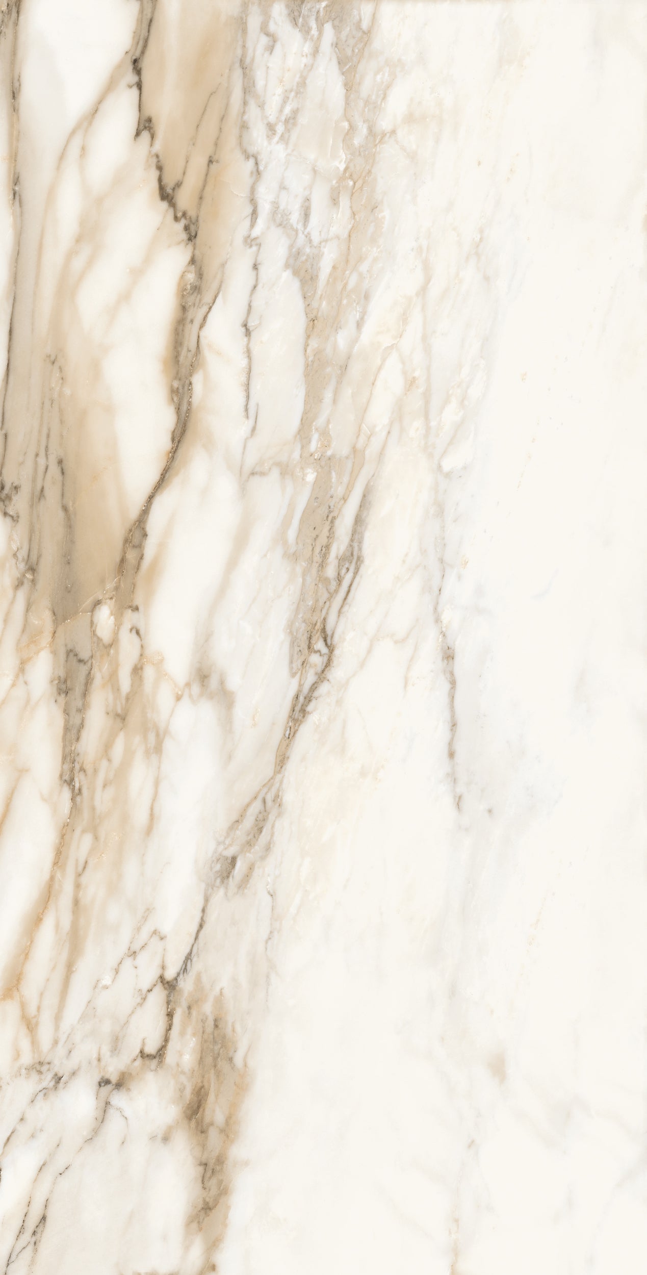 Vivace 24X48 Natural