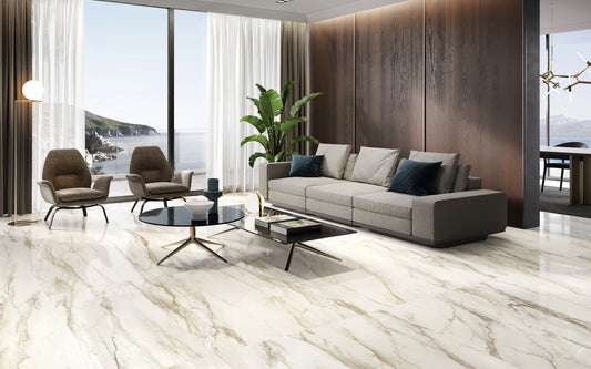 Vivace 24X48 Polished