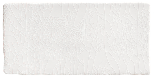 White Crackle 3x6