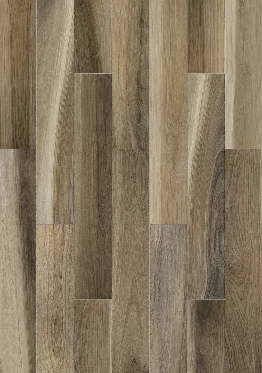 Walnut 6x36