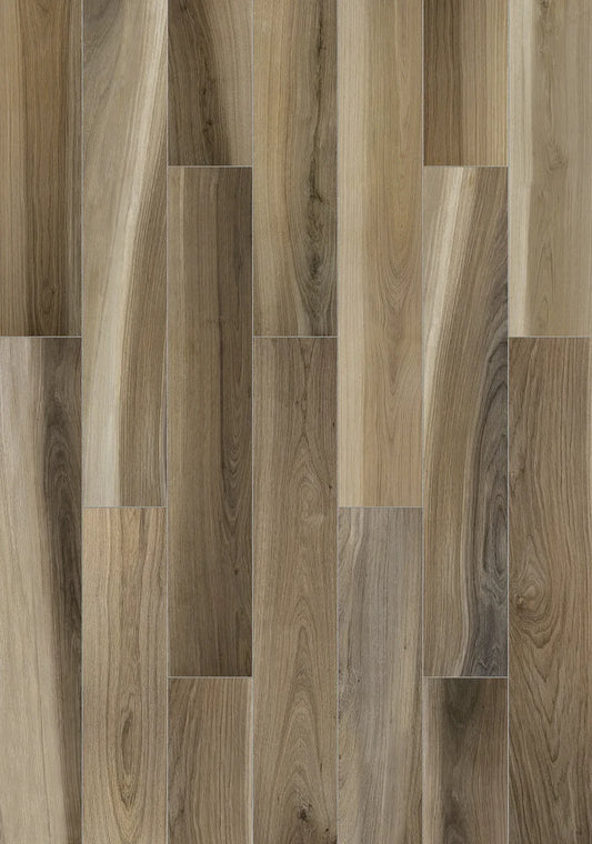 Walnut 6x36