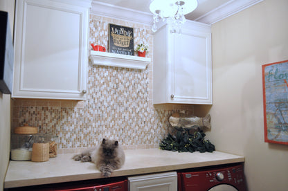 Walnut, Bella, Casa Bianca Mini Brick 1/2" Honed