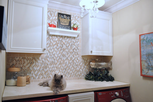 Walnut, Bella, Casa Bianca Mini Brick 1/2" Honed