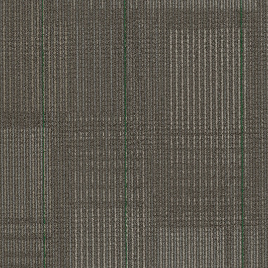 Warm Green 16oz