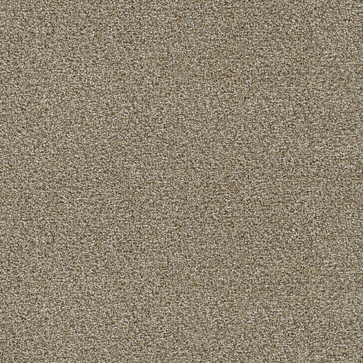 Wheatfield solution dyed cut pile carpet