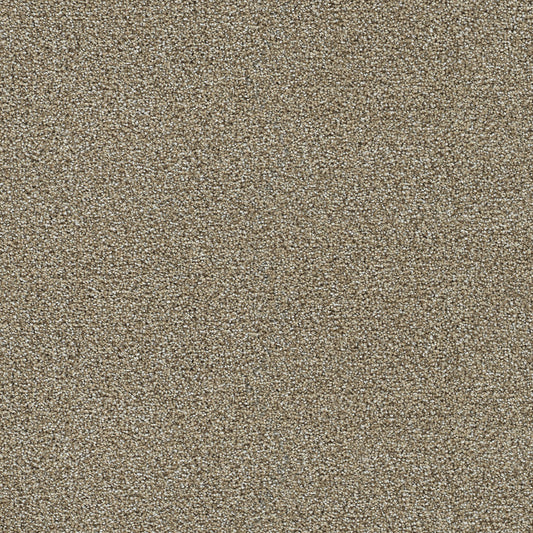 Wheatfield solution dyed cut pile carpet