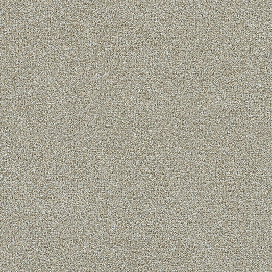 Whirlwind solution dyed cut pile carpet