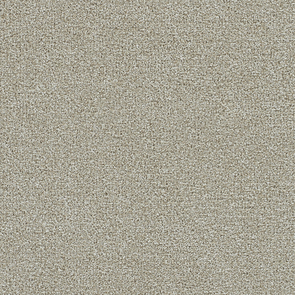 Whirlwind solution dyed cut pile carpet
