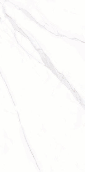White 24x48 Polished