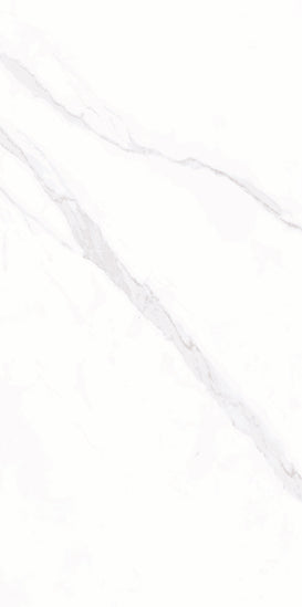 White 24x48 Polished