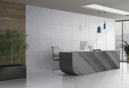 White 24x48 Polished room
