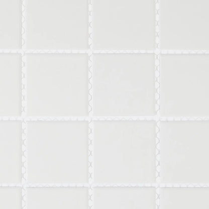 White 2x2 Matte