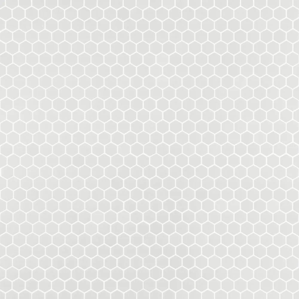 White Hexagon 1x1