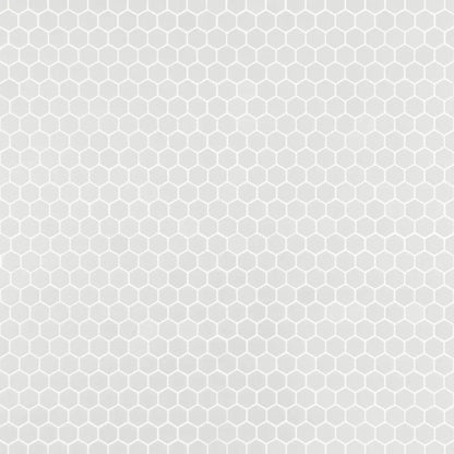 White Hexagon 1x1
