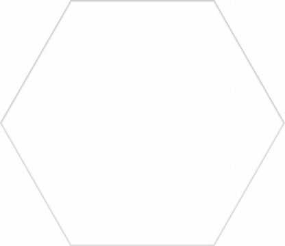 White Hexagon 8x10