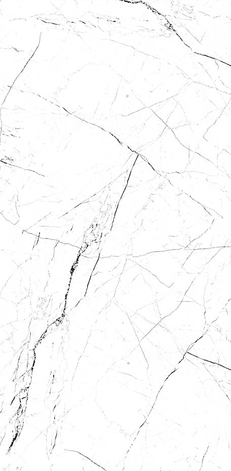White Marble 24x48 Polished