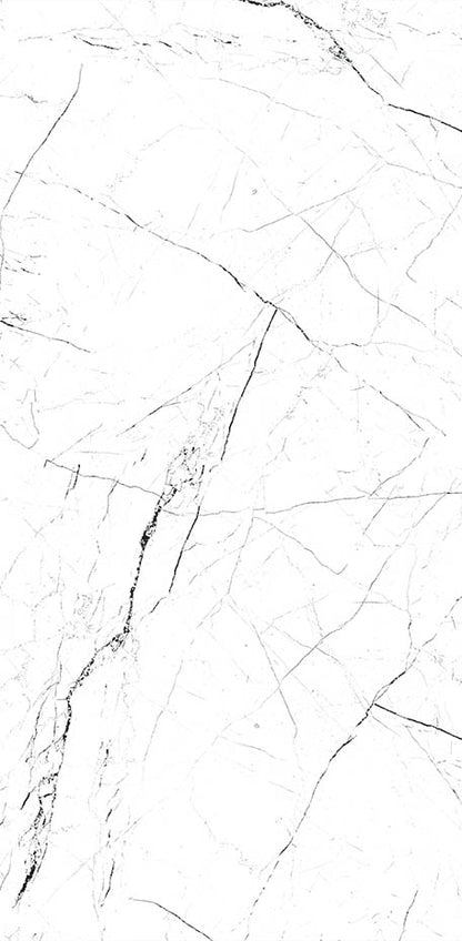 White Marble 24x48 Polished