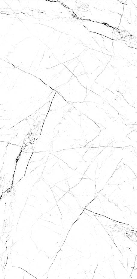 White Marble 24x48 Polished