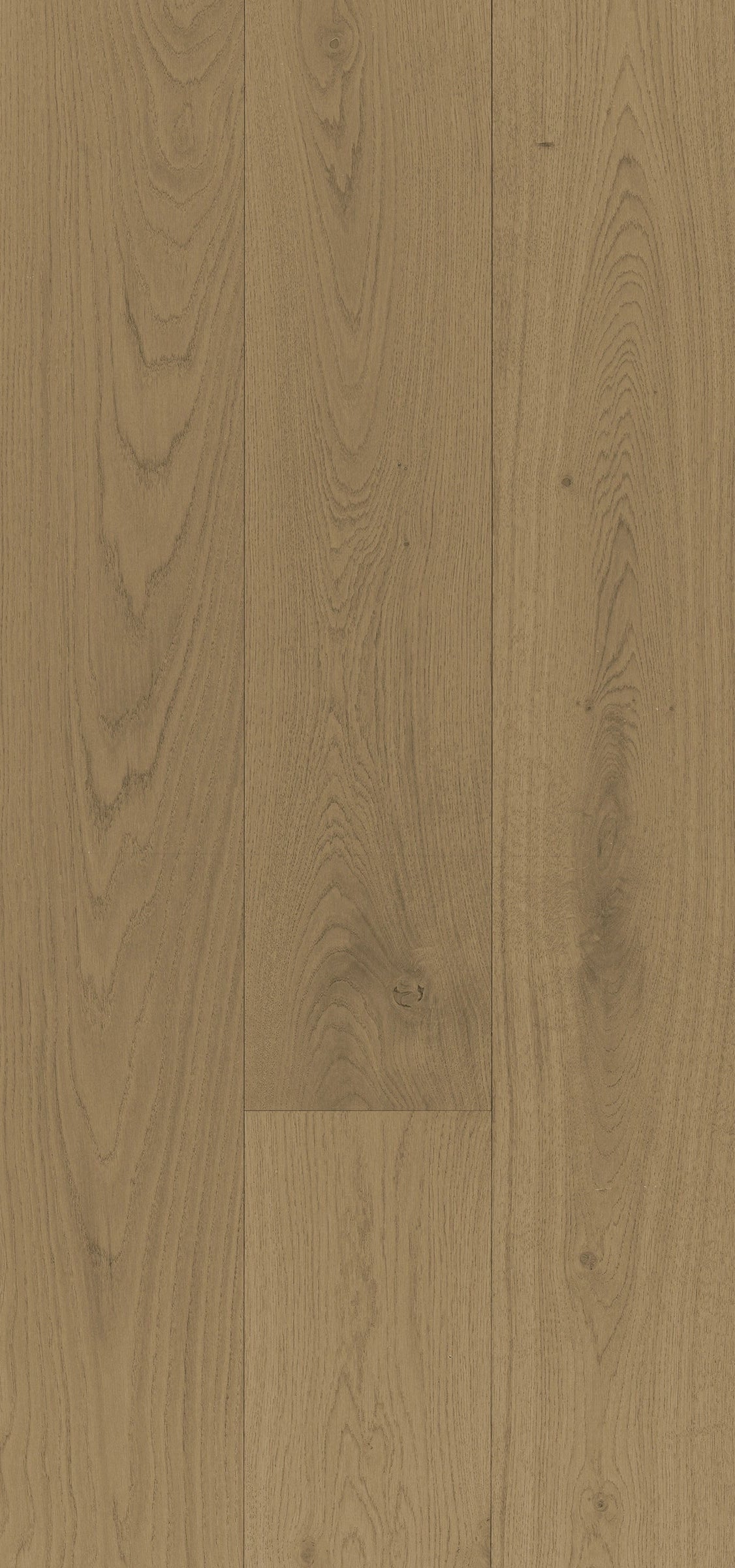 Close-up of a wooden floor with a visible grain pattern