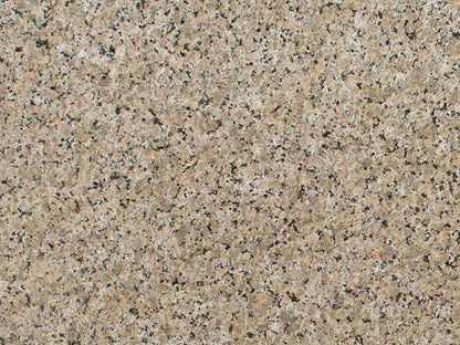 Beige Butterfly
