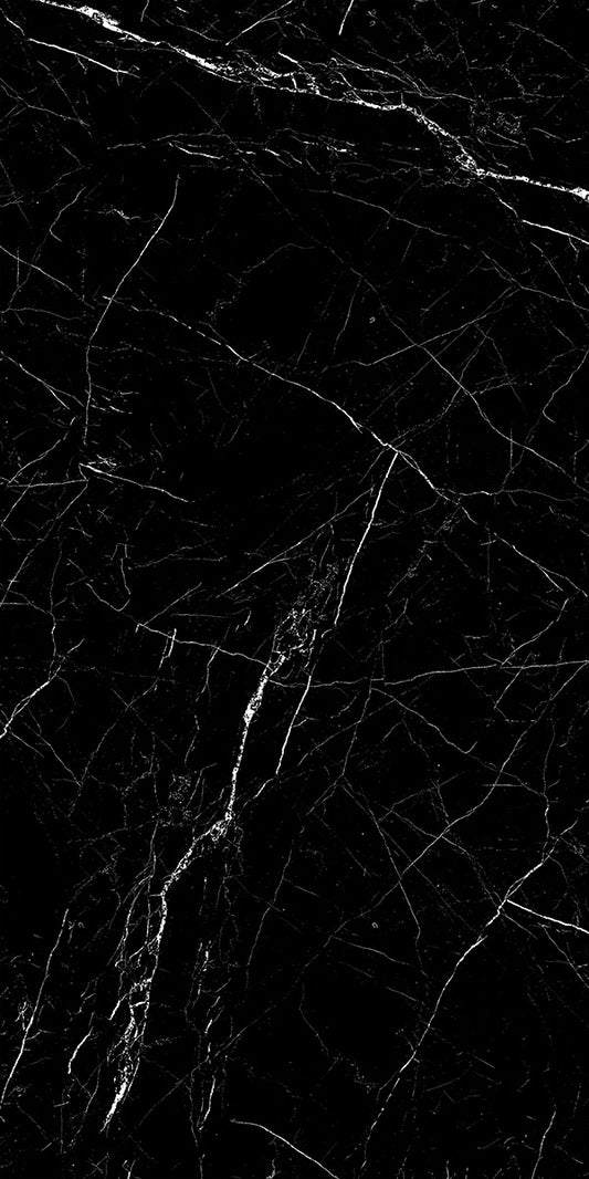 Black Marble 12x24 Polished