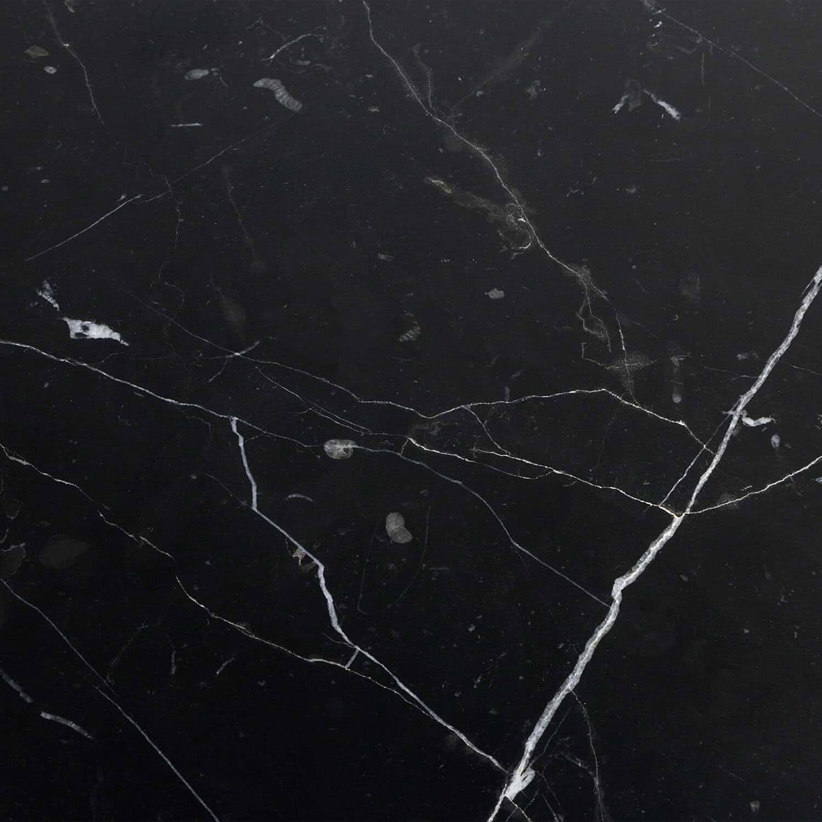 Marquina 24X24 Polished