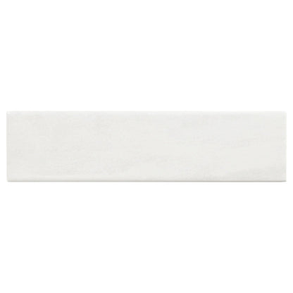 Cira 3x10 Subway Tile