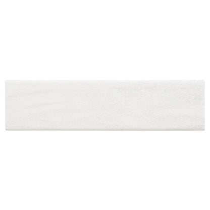 Cira 3x10 Subway Tile
