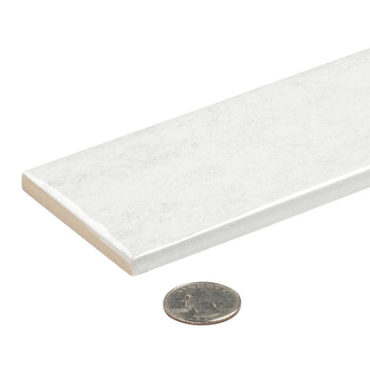 Cira 3x10 Subway Tile