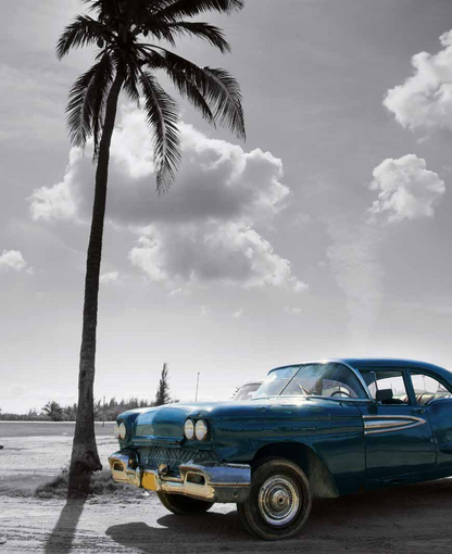 Sugar Cane 4x8