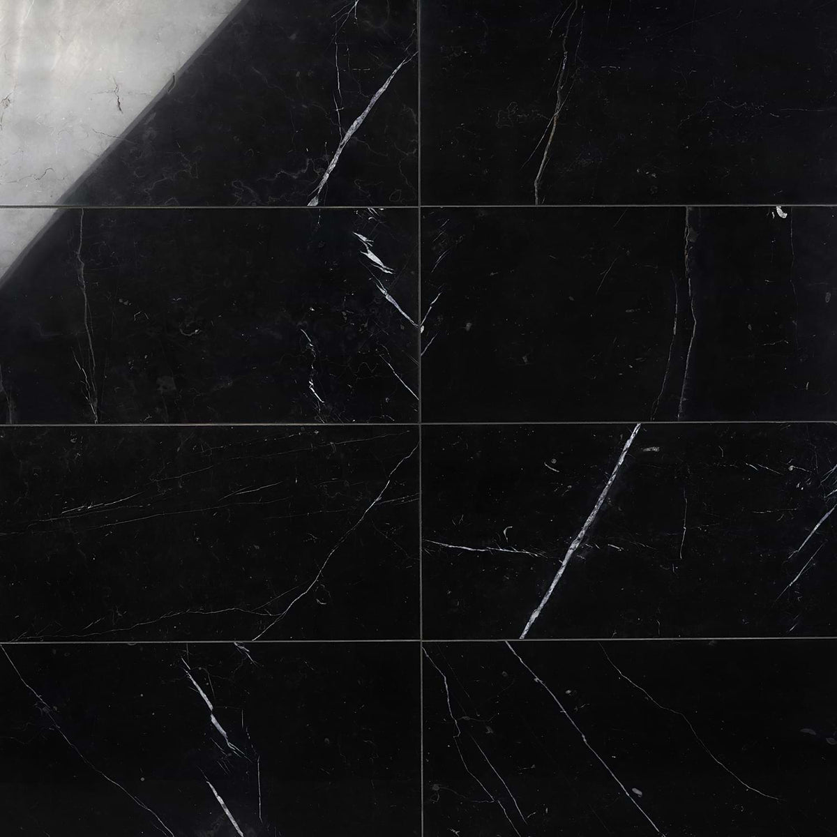 Marquina 12X24 Polished