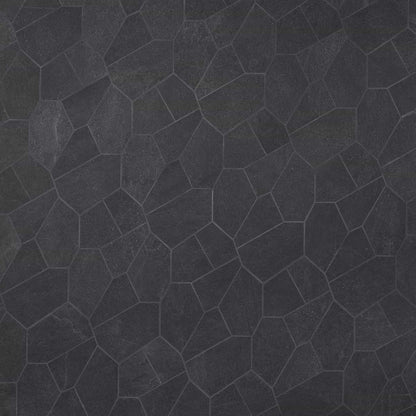 Charcoal Black Organic Pattern Matte