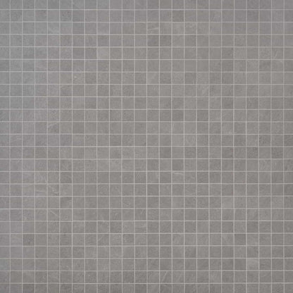 Silver Gray 2X2 Matte
