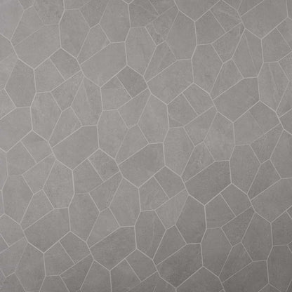 Silver Gray Organic Pattern Matte