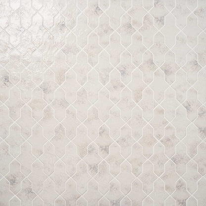 Seashell White Polished