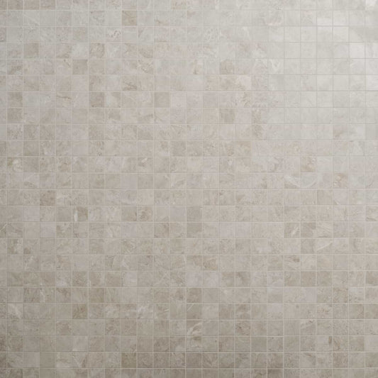 Bone Beige 2X2 Matte